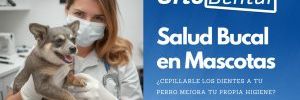 Salud Bucal en Mascotas: ¿Cepillarle los Dientes a tu Perro Mejora tu Propia Higiene?