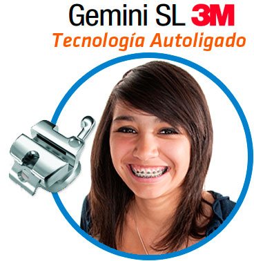 Gemini SL Sur DF